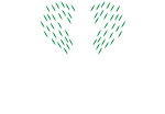 Intest Gıda